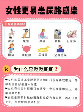 为什么要引流尿袋【健康科普】尿管居家护理，我们需要知道这些_https://www.jmylbn.com_新闻资讯_第19张