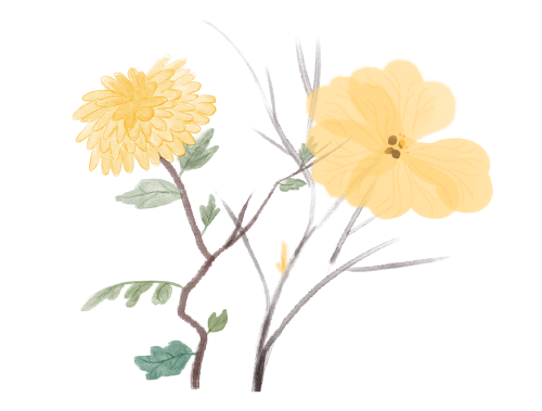 资源分享|万方数据库