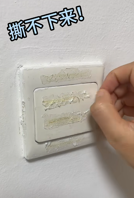 微信圖片_20241122125319