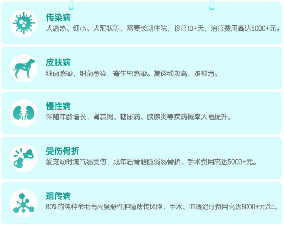 宠物生病伤不起 你还需这款神器 猫狗卖萌记 微信公众号文章阅读 Wemp