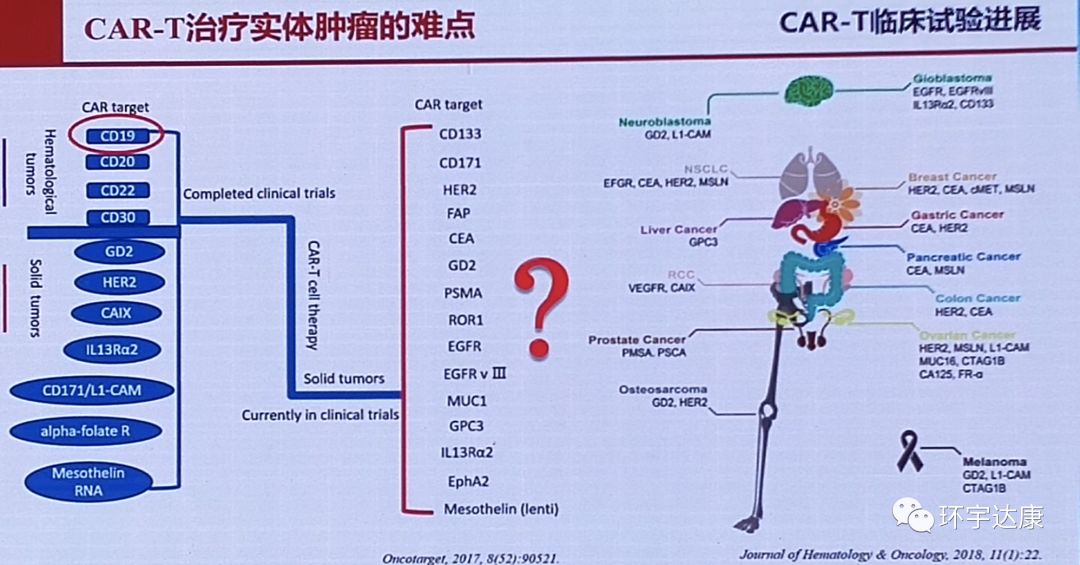 全国正规细胞回输的医院_全国细胞治疗医院_细胞输注疗法有效果吗