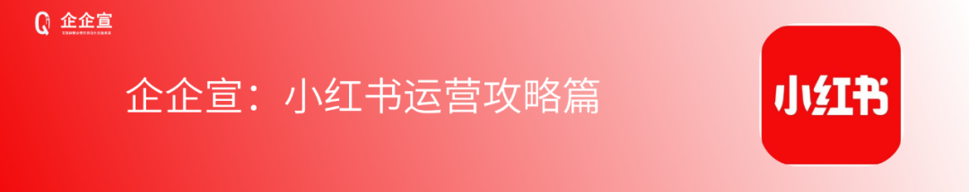 全网营销推广 10大主流平台组合包