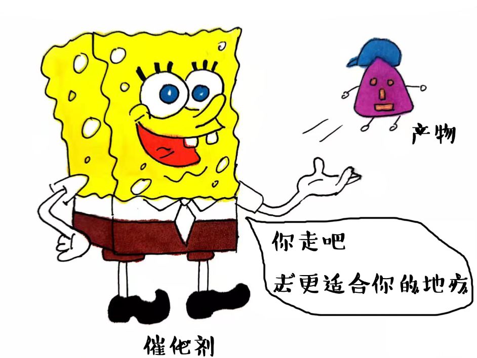 什么是催化呢？？的图12