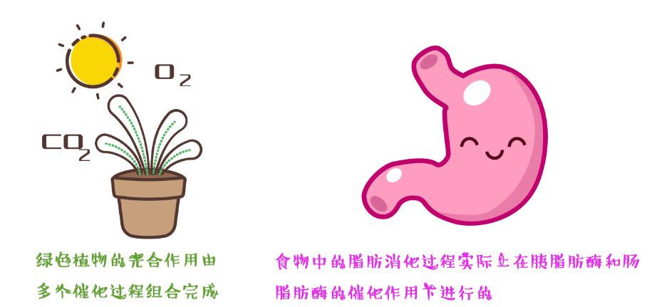 什么是催化呢？？的图6