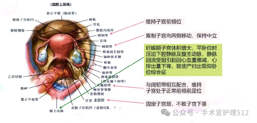 产包有什么器械子宫下段剖宫产术的手术配合_https://www.jmylbn.com_新闻资讯_第6张