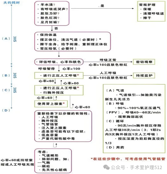 产包有什么器械子宫下段剖宫产术的手术配合_https://www.jmylbn.com_新闻资讯_第48张