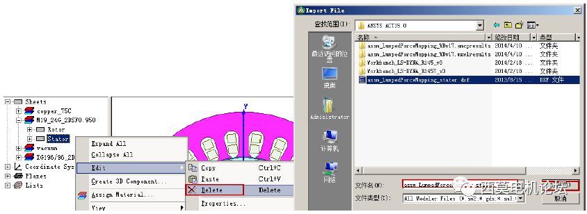 电机振动噪声建模分析:基于ANSYS Workbench平台的电机电磁噪声仿真分析的图13