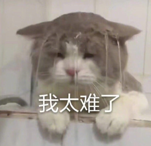 【网站合集】分享 8 个免费的视频素材网站,有Mixkit、Video等(图2) 【网站合集】分享 8 个免费的视频素材网站,有Mixkit、Video等(图2)