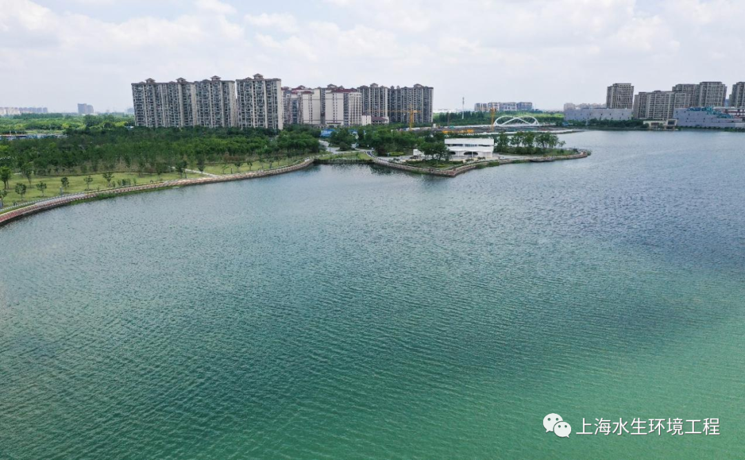 爱岗敬业，优秀班组！——上海之鱼维护班组(图2)