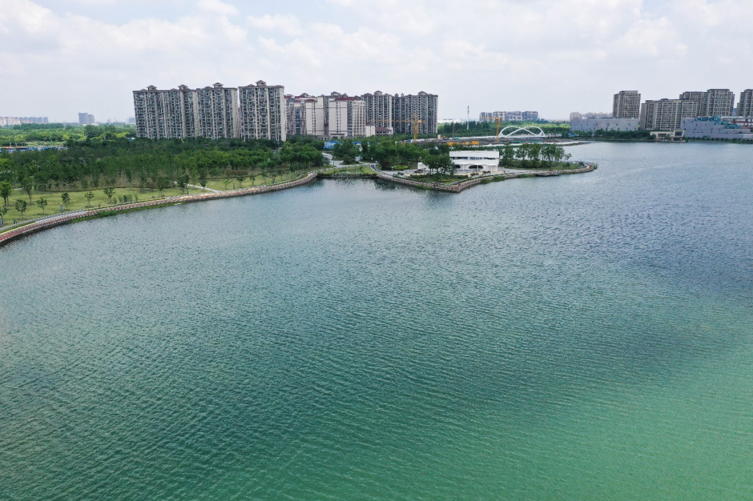 敦本务实 再创佳绩—— 上海水生荣获“上海市河湖养护劳动竞赛”多个奖项(图5)