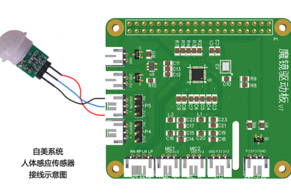 我，在Gitee，学习元宇宙