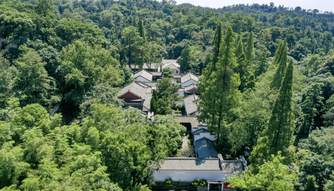 帝国时代游戏_帝国时代游戏画面怎么调大小_帝国时代游戏速度