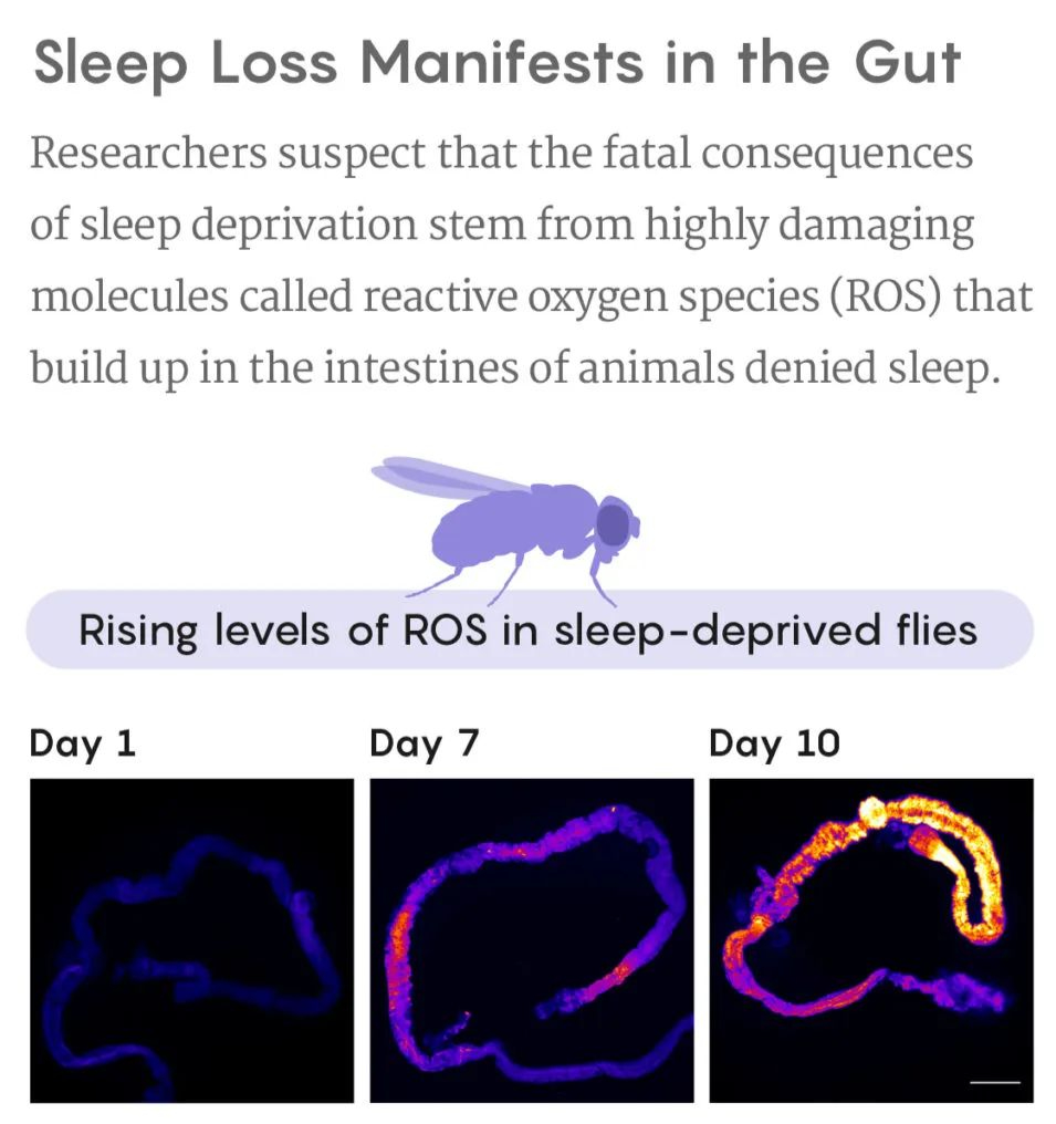 八成女性卵巢早衰都是因为这五件不起眼的小事！