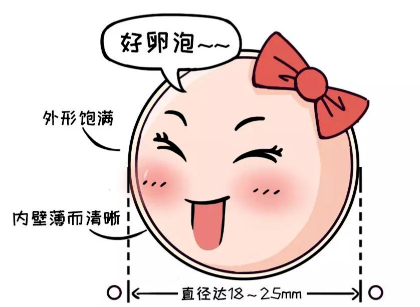 卵泡发育不良？这个助孕“神器”请收好！