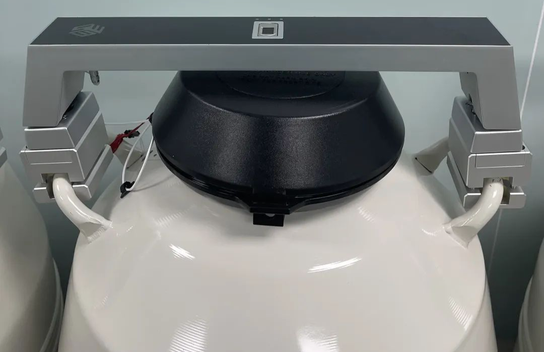 龙年接龙宝 | 带你揭秘囊胚的冷冻与复苏！