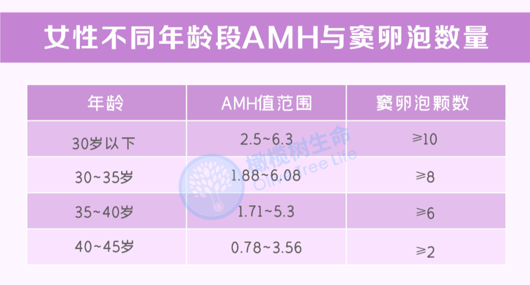 【试管冷知识】如何评估卵巢储备功能？这7个改善方法不容错过！