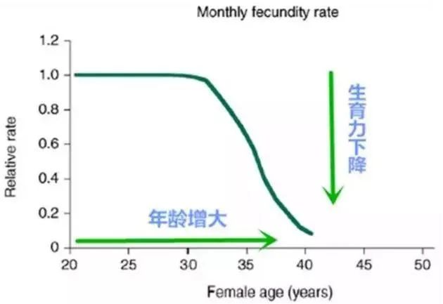 年轻卵子VS高龄卵子，生育之路该怎么办?