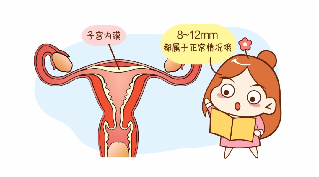 决定胚胎着床的4个关键因素，80%的姐妹都不知道！