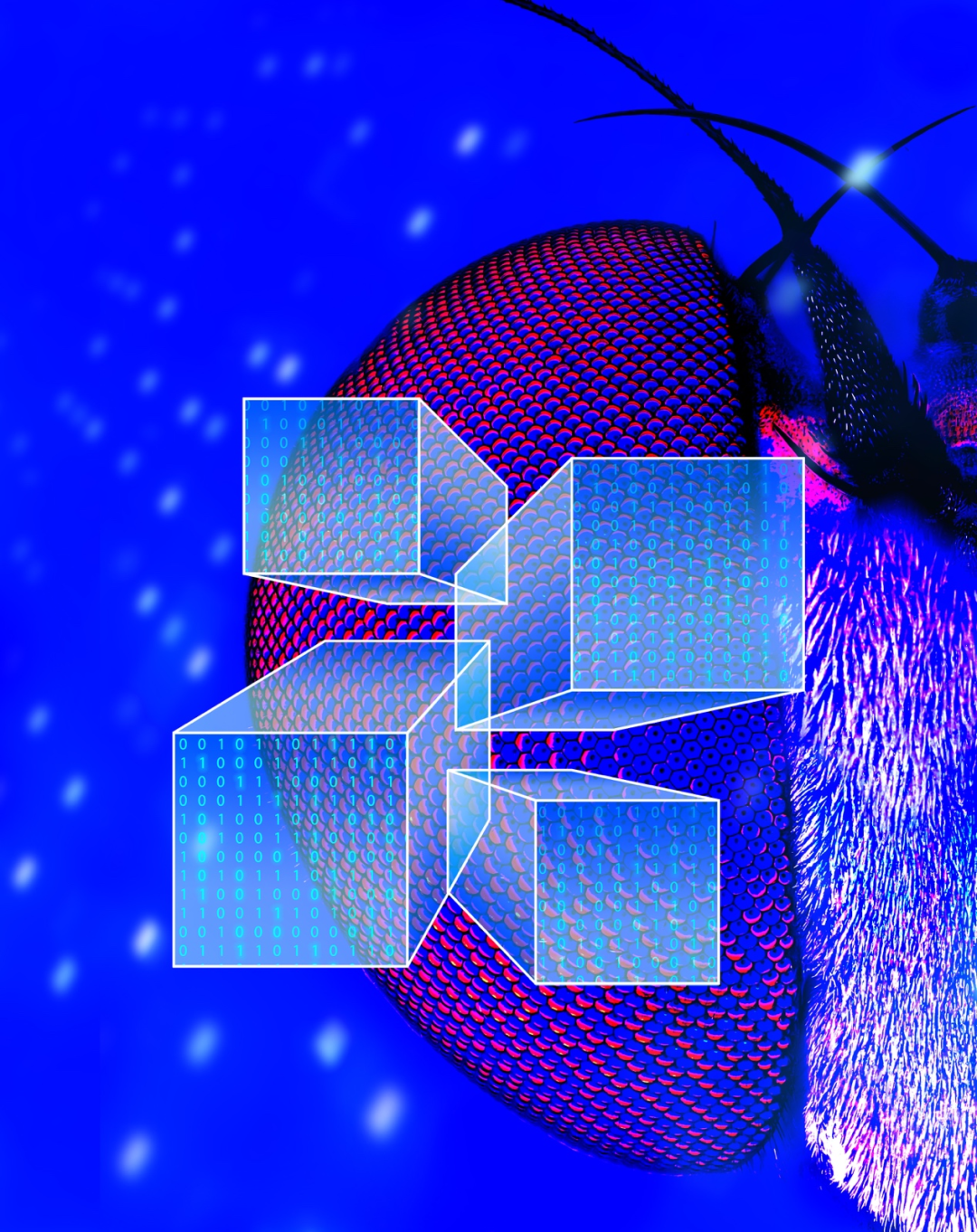 前沿进展 | 多焦点光场显微成像技术的图1