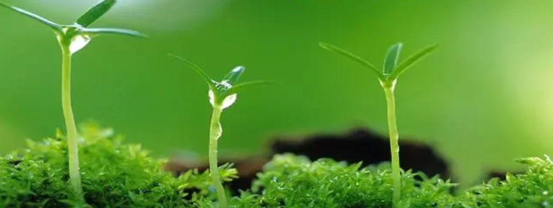 雅欣理儀邀請您參加2024光合作用國際研討會