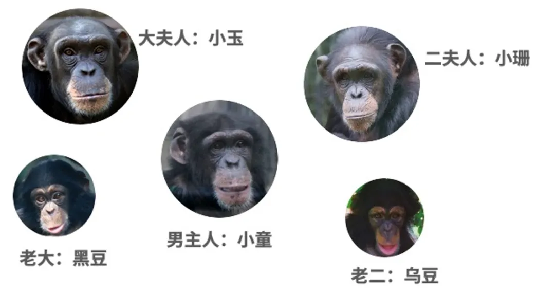 转贴 有追求的南京红山森林动物园 万维读者网博客