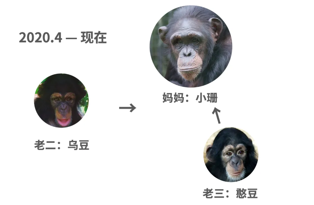 转贴 有追求的南京红山森林动物园 万维读者网博客