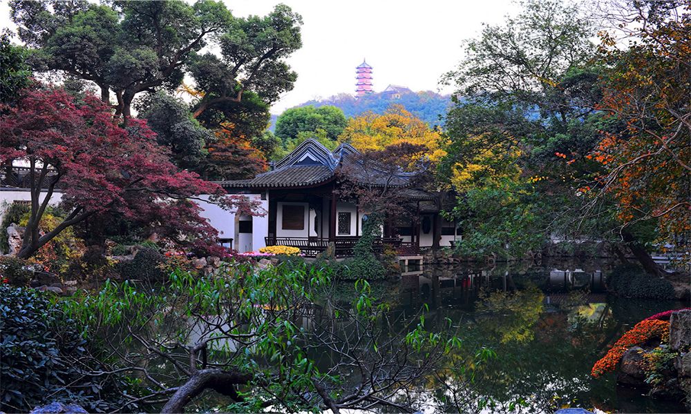 寄畅园平面图_寄畅园平面布局图_寄畅园50景图