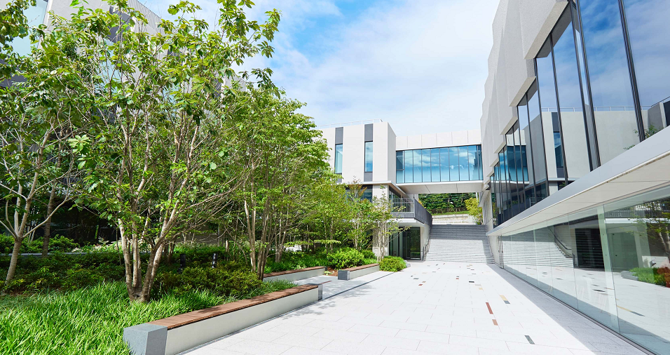 学校属性:私立桐朋学园大学于1955年建立,1961年开设大学教育的日本