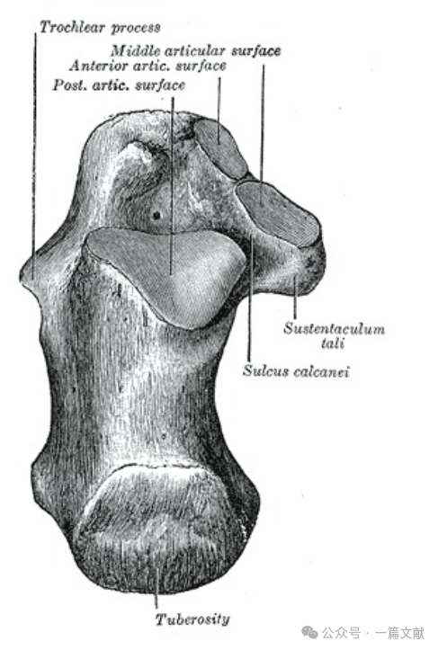 跟骨骨折内固定术中透视技巧