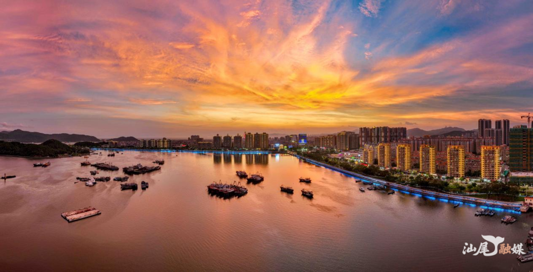 品清湖  陈茂辛 摄