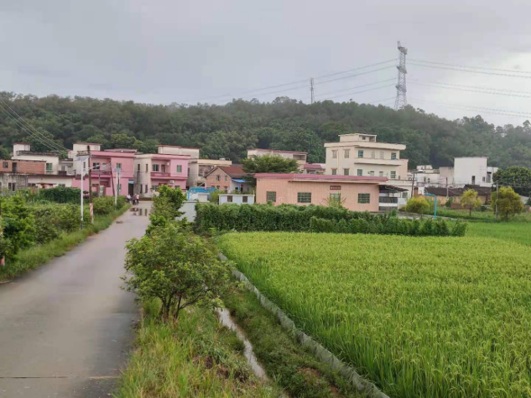 四会市龙甫镇携手共建小康社会全力打造美丽乡村