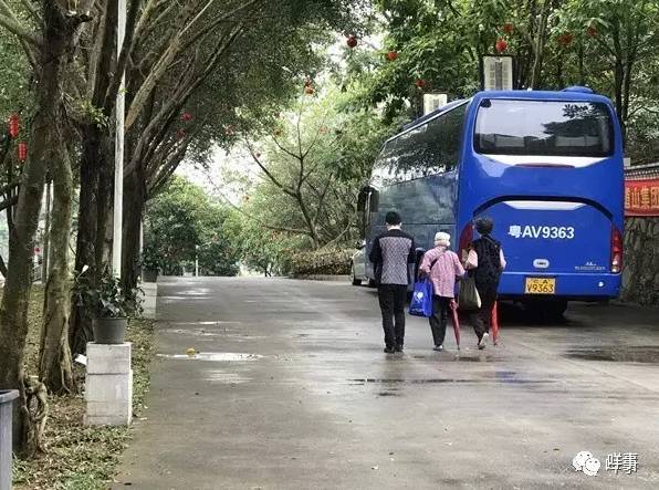 保健品包装瓶定制_保健瓶定制包装品牌排行榜_保健瓶定制包装品牌有哪些