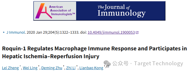 肝脏巨噬细胞清除|氯膦酸盐脂质体Clodronate Liposomes腹腔注射文献一