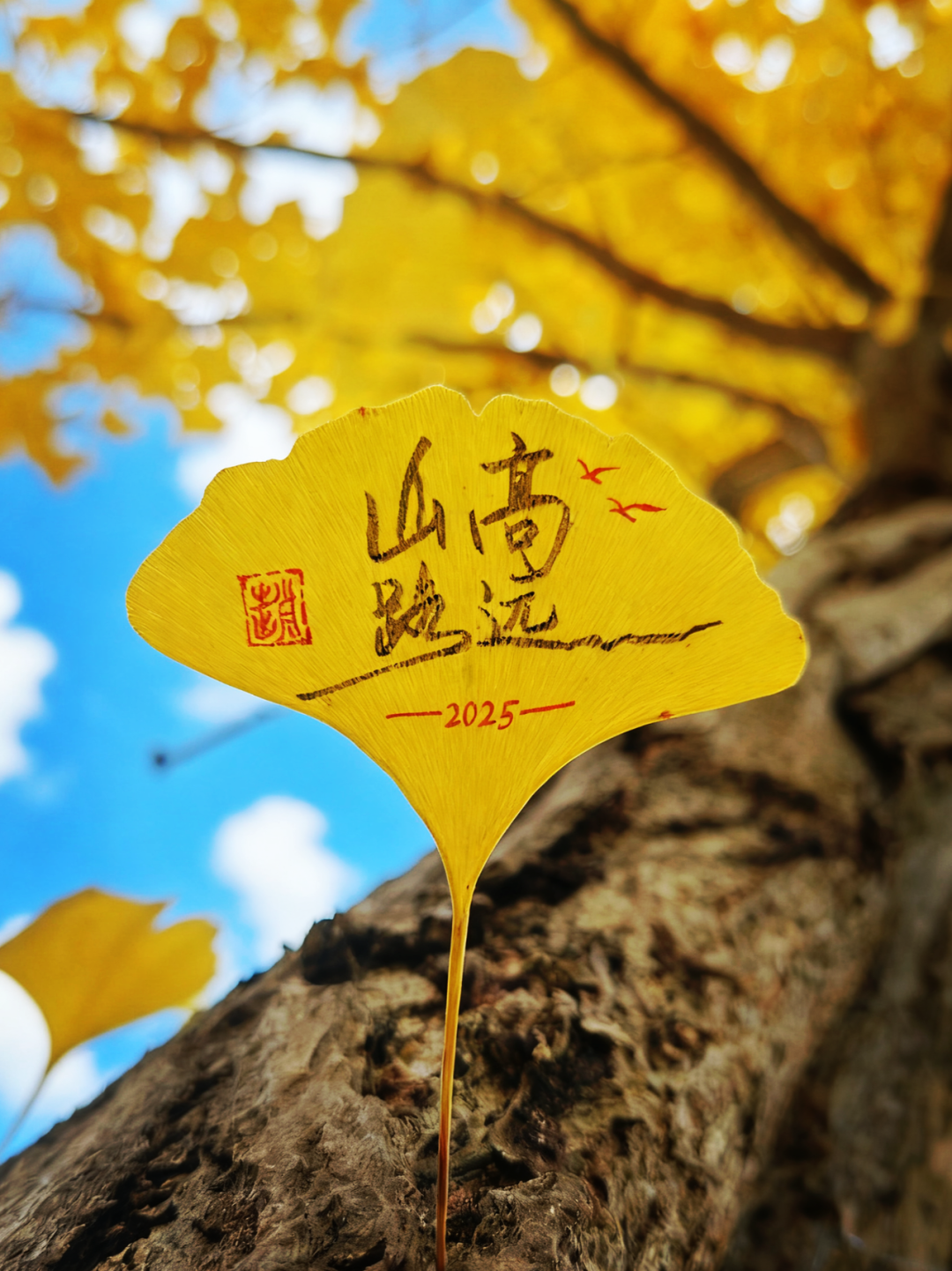 1.赵清锋  山高水远  瓮安县城.png