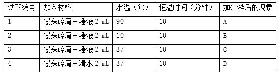 640 (19).jpg