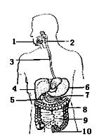 640 (16).jpg