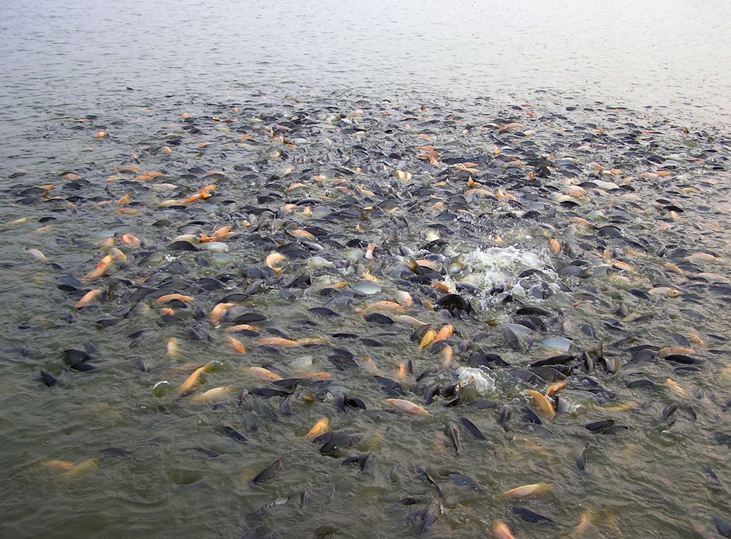 唐山这些区域为啥被限制开发？这4地未来发展可期