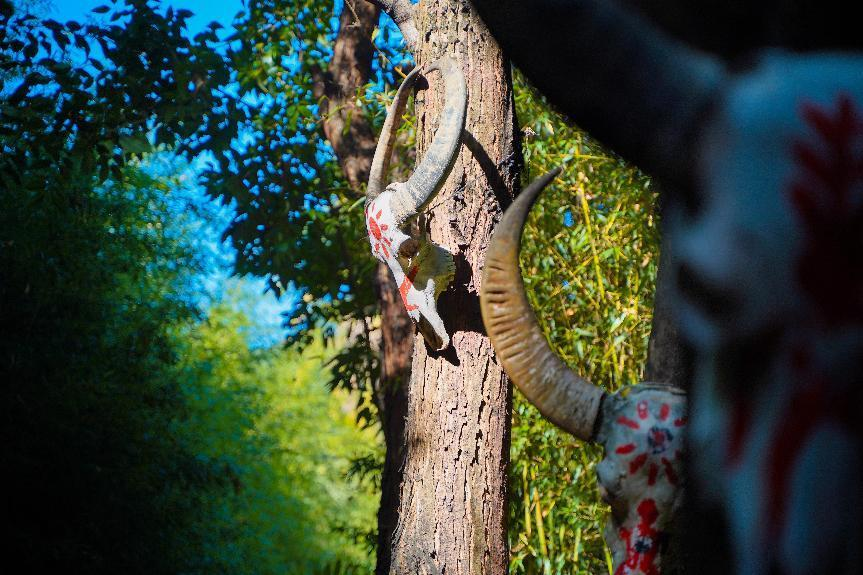 ��ʮ���조���ı�����Ӱ����Բ���չ� �� 4 ��