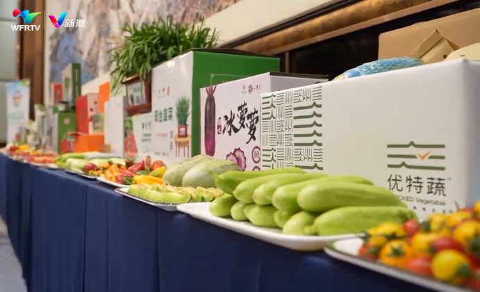 绿色科技未来第二十五届菜博会4月20日开幕