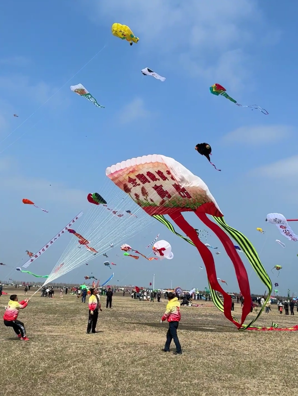 滨海国际风筝放飞场图片