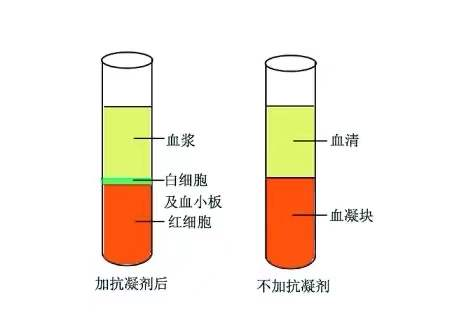 脱氧核糖核苷酸和脱氧核糖核酸