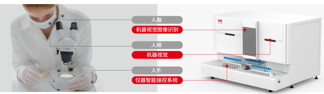 粪便常规仪器怎么用临检常规项目专题 ｜ 人工智能与形态学自动化检测_https://www.jmylbn.com_新闻资讯_第2张