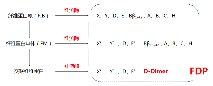 凝血试剂厂家有哪些“联检+国产”！资深凝血品牌FDP、DD（DDU、FEU）试剂全新上市_https://www.jmylbn.com_新闻资讯_第5张