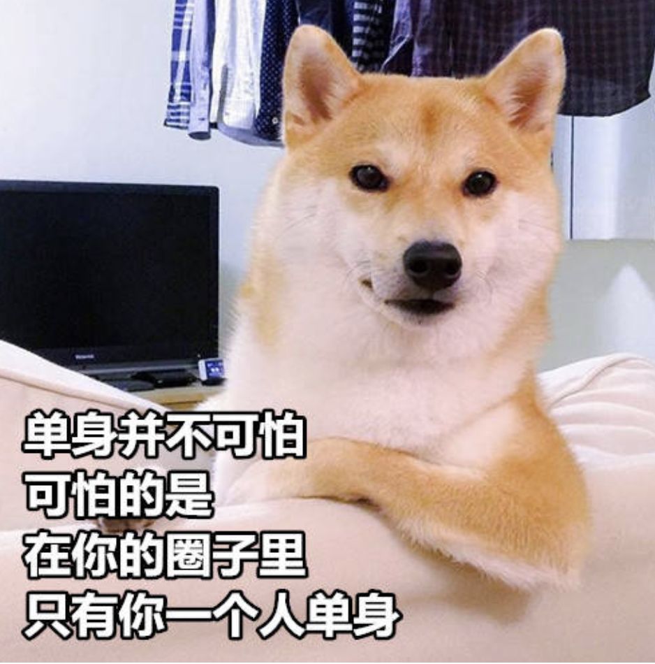 程序员是如何运用增长思维找到女朋友？