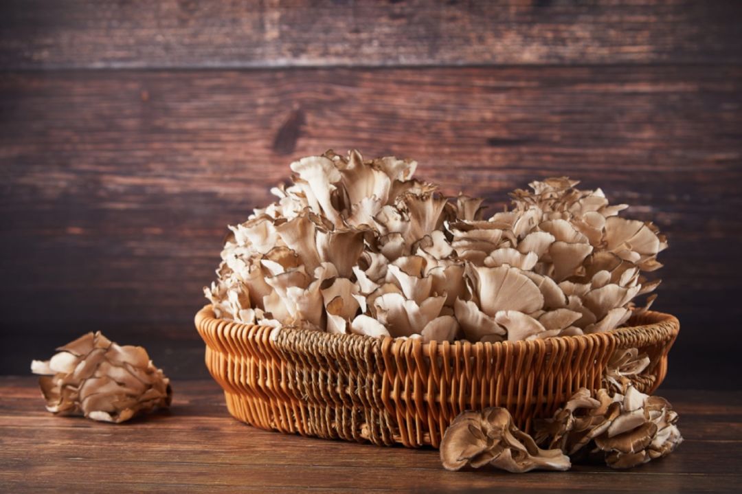 



鲜货 | 鲜香脆嫩、营养百搭，这蘑菇比肉还好吃！
