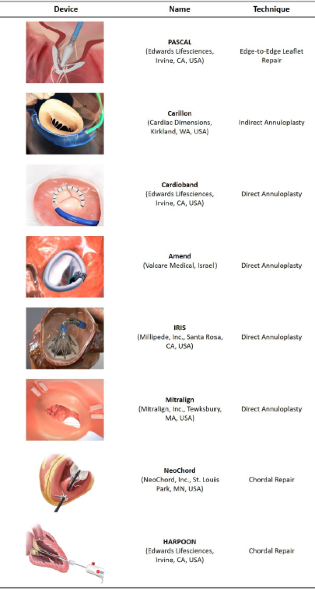 ero为什么不显示经导管二尖瓣修复术：相关病理生理学、研究和治疗综述_https://www.jmylbn.com_新闻资讯_第11张