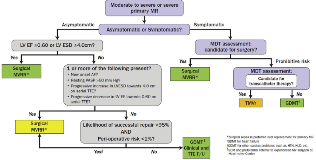 ero为什么不显示经导管二尖瓣修复术：相关病理生理学、研究和治疗综述_https://www.jmylbn.com_新闻资讯_第5张