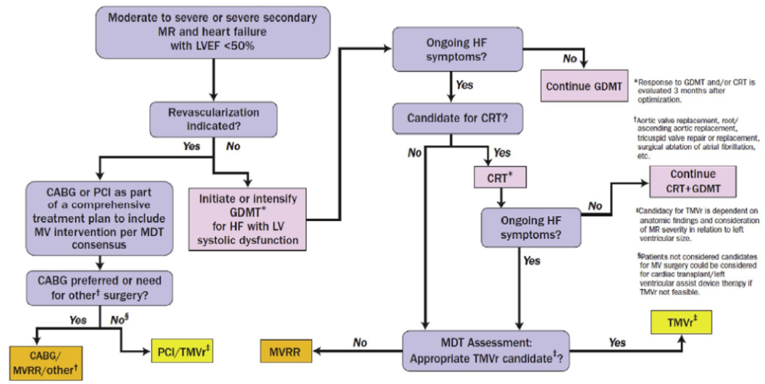 ero为什么不显示经导管二尖瓣修复术：相关病理生理学、研究和治疗综述_https://www.jmylbn.com_新闻资讯_第6张