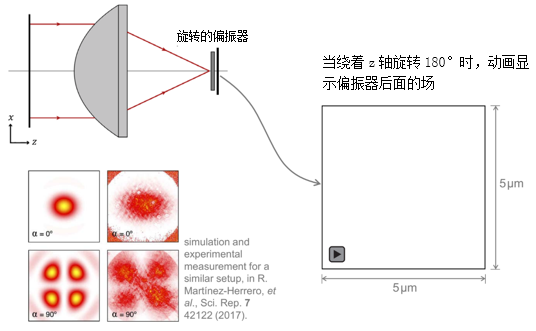 焦點區(qū)域處的偏振器的圖5