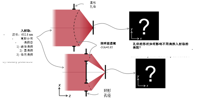 VirtualLab Fusion：利用消球差透镜对各种偏振光束进行深聚焦的图2